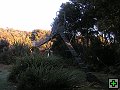thn_Steward Island 011.jpg